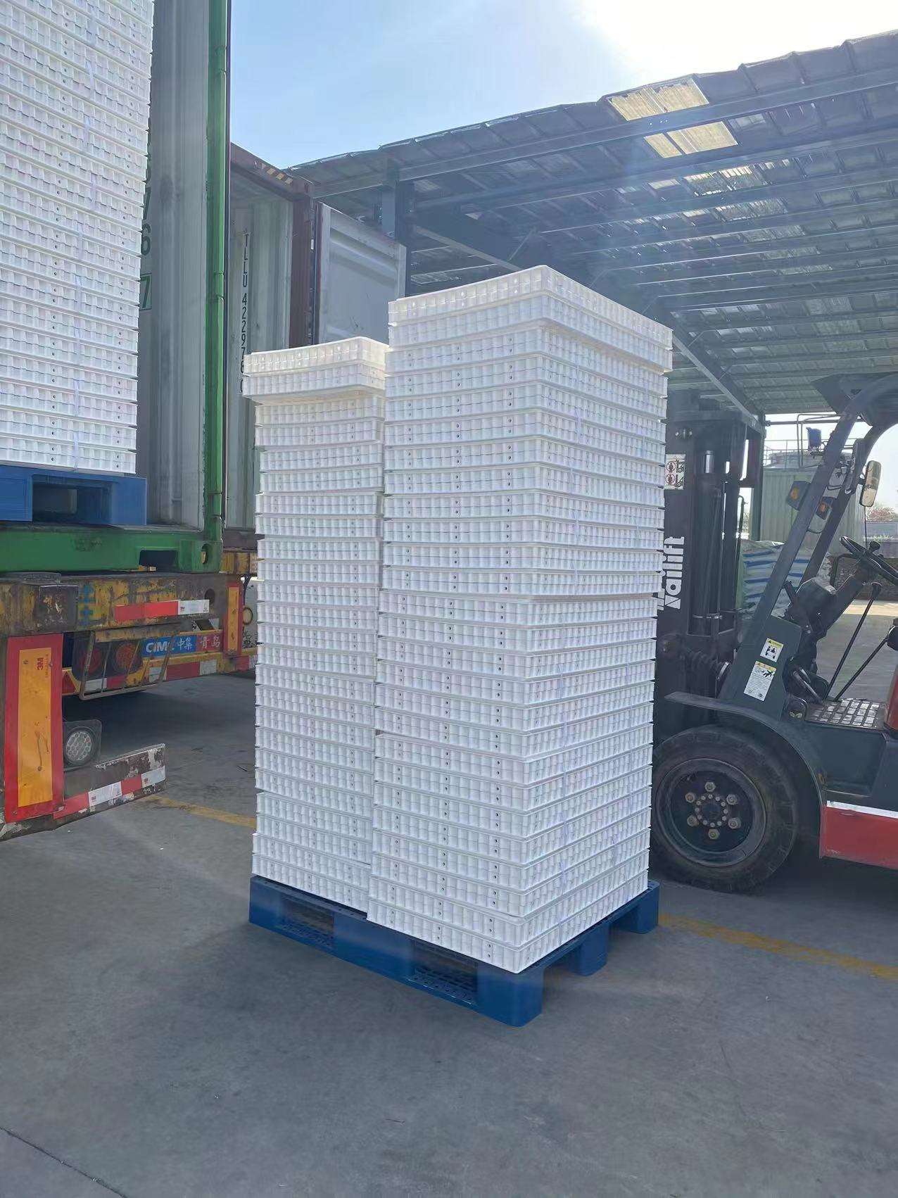 2020 poultry shipping boxes chicken crates coops