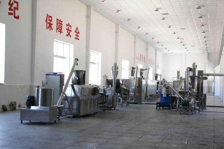 Hot Sales Oat Crispy  Production Line