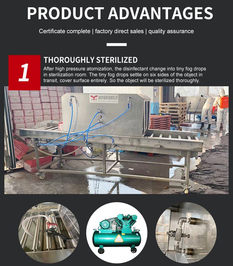 conveyor belt sterilization machine fish carton packing box Sterilizer outer packing tunnel Sterilizer