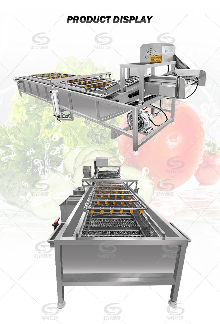 Fruit vegetable washer/Salad Laef Vegetables Processing Production Line