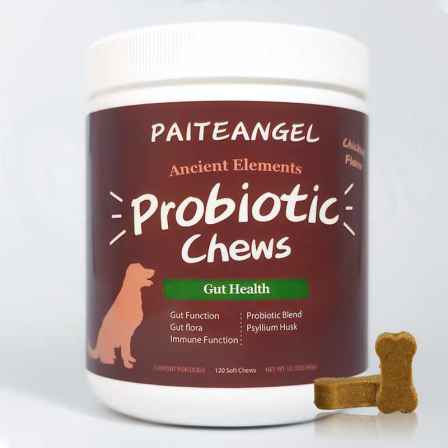 Pet Supplements Suppliers Support Gastric Distress Diarrhea Bloating Ultimates Probiotics Digestive Dog Supplement