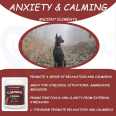 Paiteangel Pet Supplements Suppliers Ancient Elements Dog Oem Calming Supplement For Dogs Stressed Or Nervous