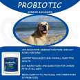 Custom Support Health Digestive Dog Supplement Oem Pet Nutrit Gut Health Senior Advanced Dog Probiotics