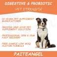Pet Supplements Chews Suppliers Support Immune System Gut Health Digestive Multivitamin Dog Probiotic