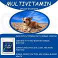 Oem Odm Senior Advanced Support Health Pet Vitamin Mineral Supplement Nutritional Dog Vitamin 11 In 1