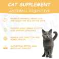 Paiteangel Oem Odm Hairball Reduction Digestive Health Probiot Pet Supplements Omega-3 Cats Suplements