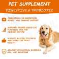 Professional Custom Brand Logo Immune Support Pet Digestive Health Care Dog Probiotic Supplement For Pet